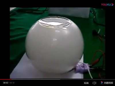 负离子发生器 等离子发生器