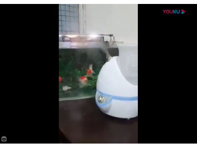 惠柏超音波雾化机 次氯酸，消毒水专用超音波喷雾机