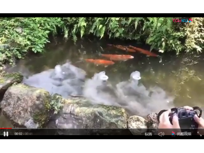 惠柏超音波负离子雾化器 造景雾化头 实拍应用场景