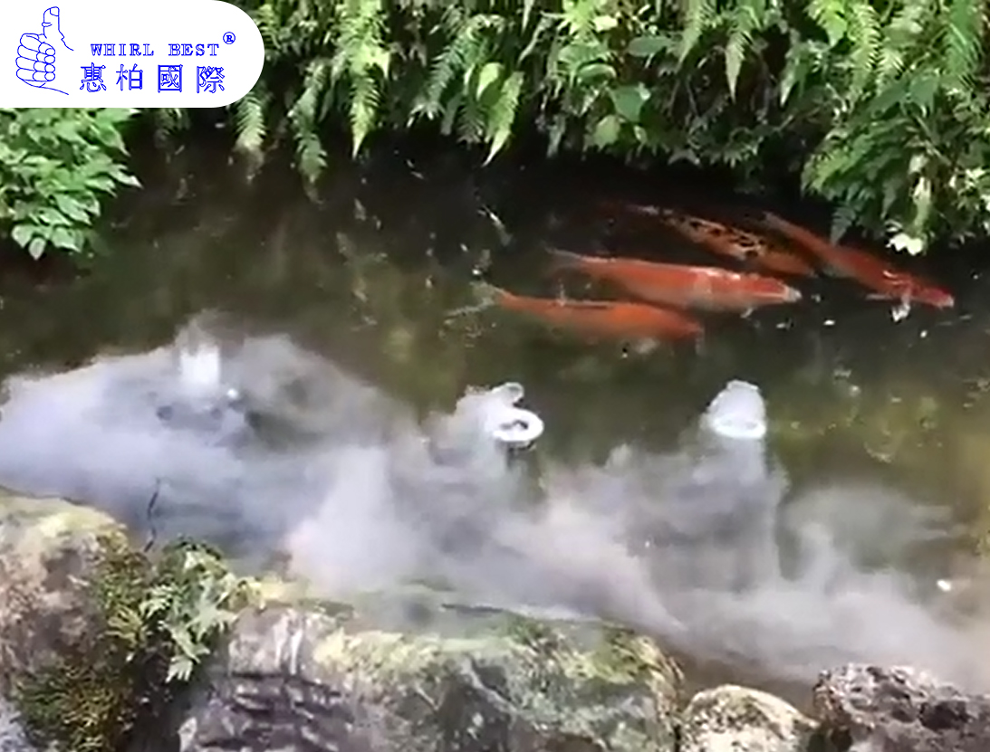 惠柏超音波负离子造景雾化器 假山鱼池景观雾化头