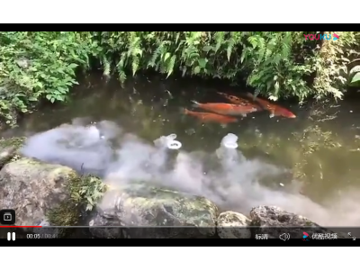 高频超声波雾化片